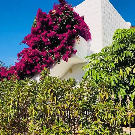 Apartment Summer Sunny Light Playa de las Americas (Tenerife)